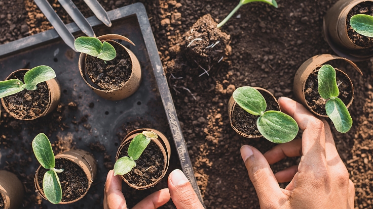 Social Contributionのイメージ